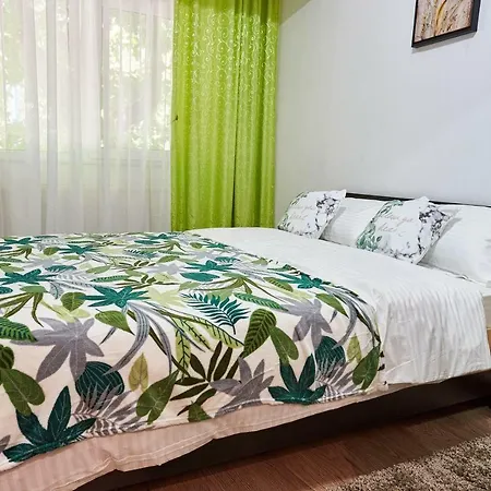 Apartment Family Brasov